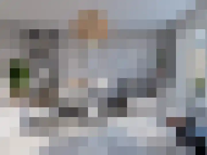 Tommeakker 4 Veghel thumbnail 4