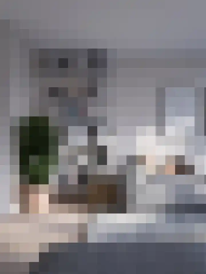 Tommeakker 4 Veghel thumbnail 5