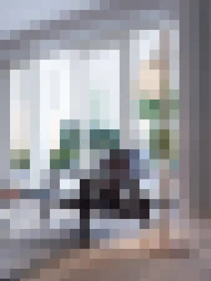 Tommeakker 4 Veghel thumbnail 6