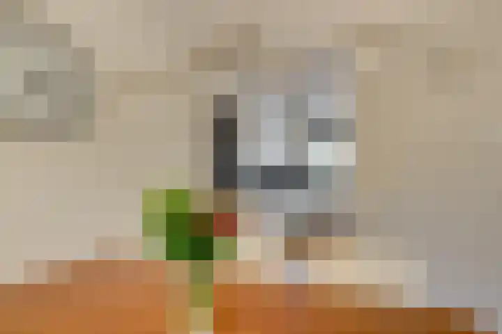 Tommy Dorseykade 7 Leiden thumbnail 11