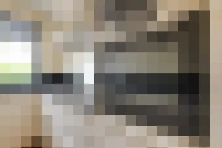Tommy Dorseykade 7 Leiden thumbnail 13
