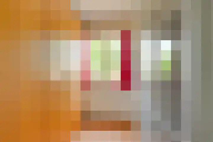 Tommy Dorseykade 7 Leiden thumbnail 29