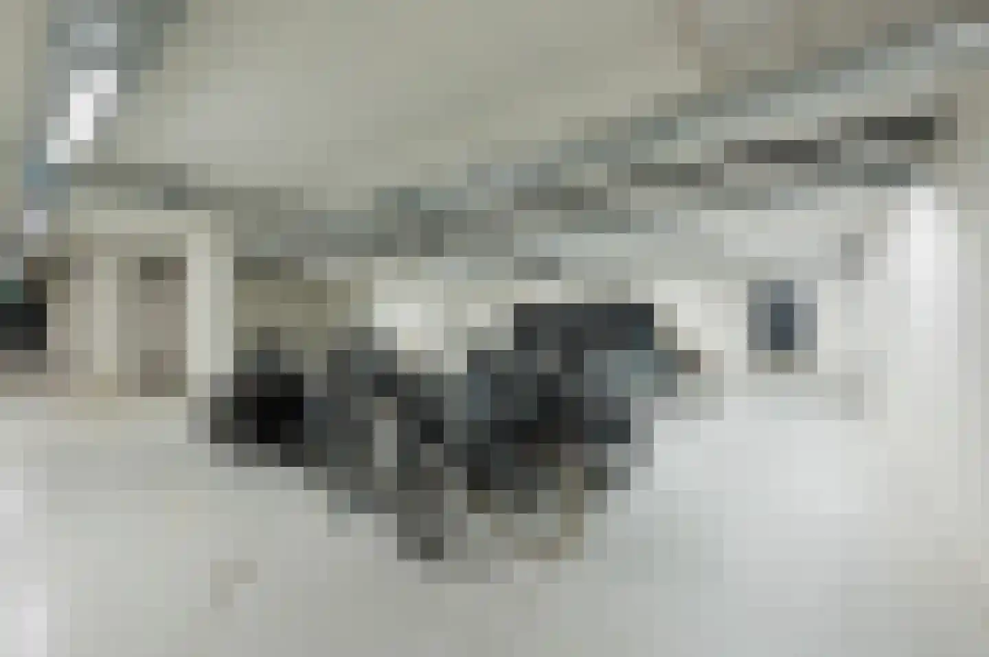 Ton de Leeuwstraat 46 Amsterdam thumbnail 25