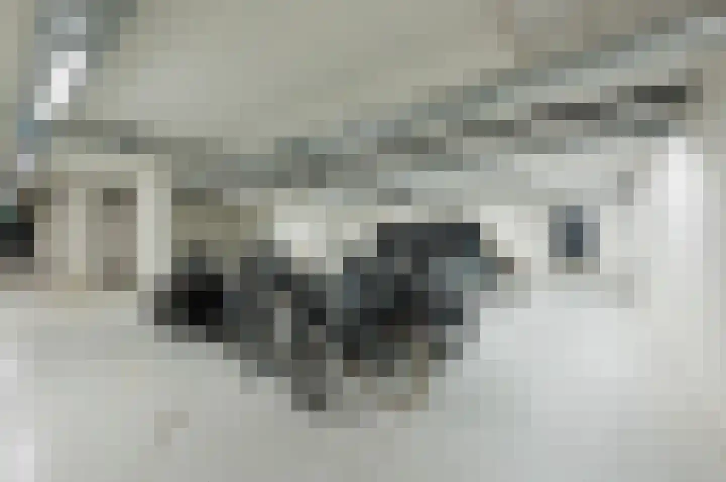 Ton de Leeuwstraat 46 Amsterdam thumbnail 35