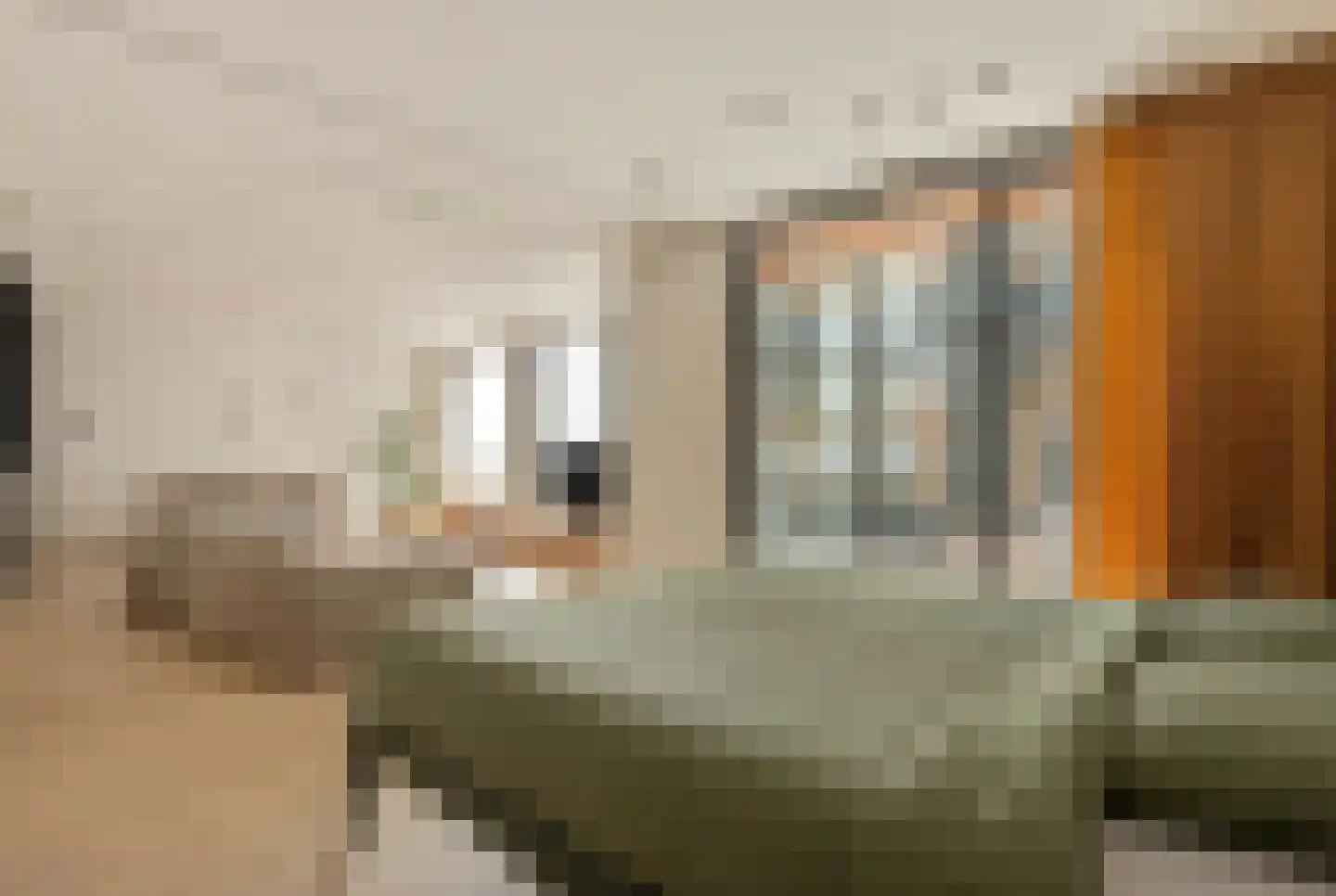 Ton de Leeuwstraat 54 Amsterdam thumbnail 12