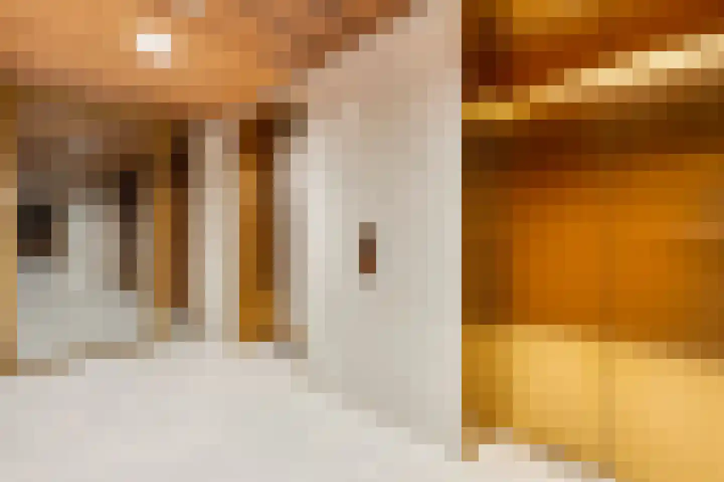 Ton de Leeuwstraat 54 Amsterdam thumbnail 23