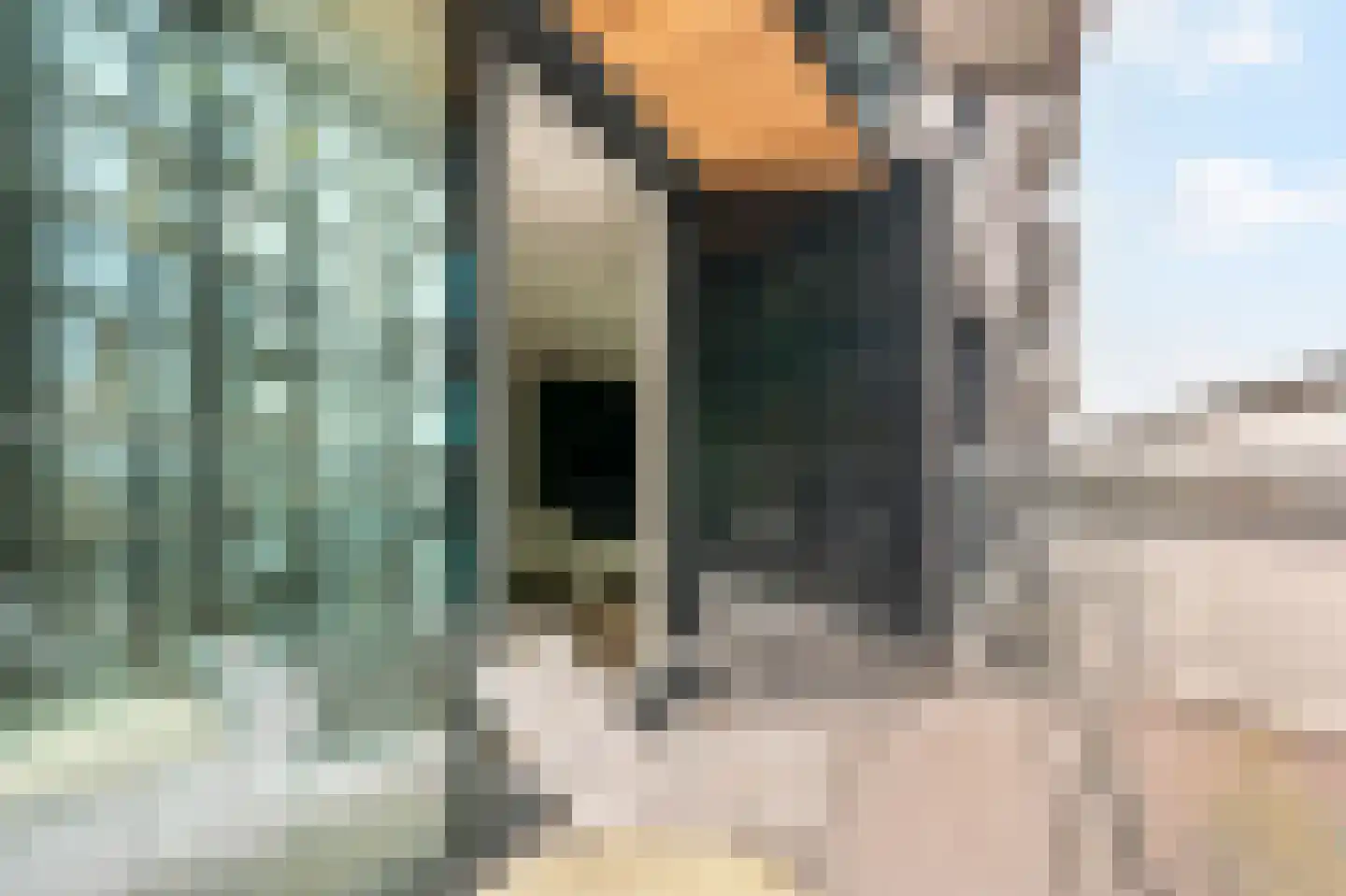 Ton de Leeuwstraat 54 Amsterdam thumbnail 9