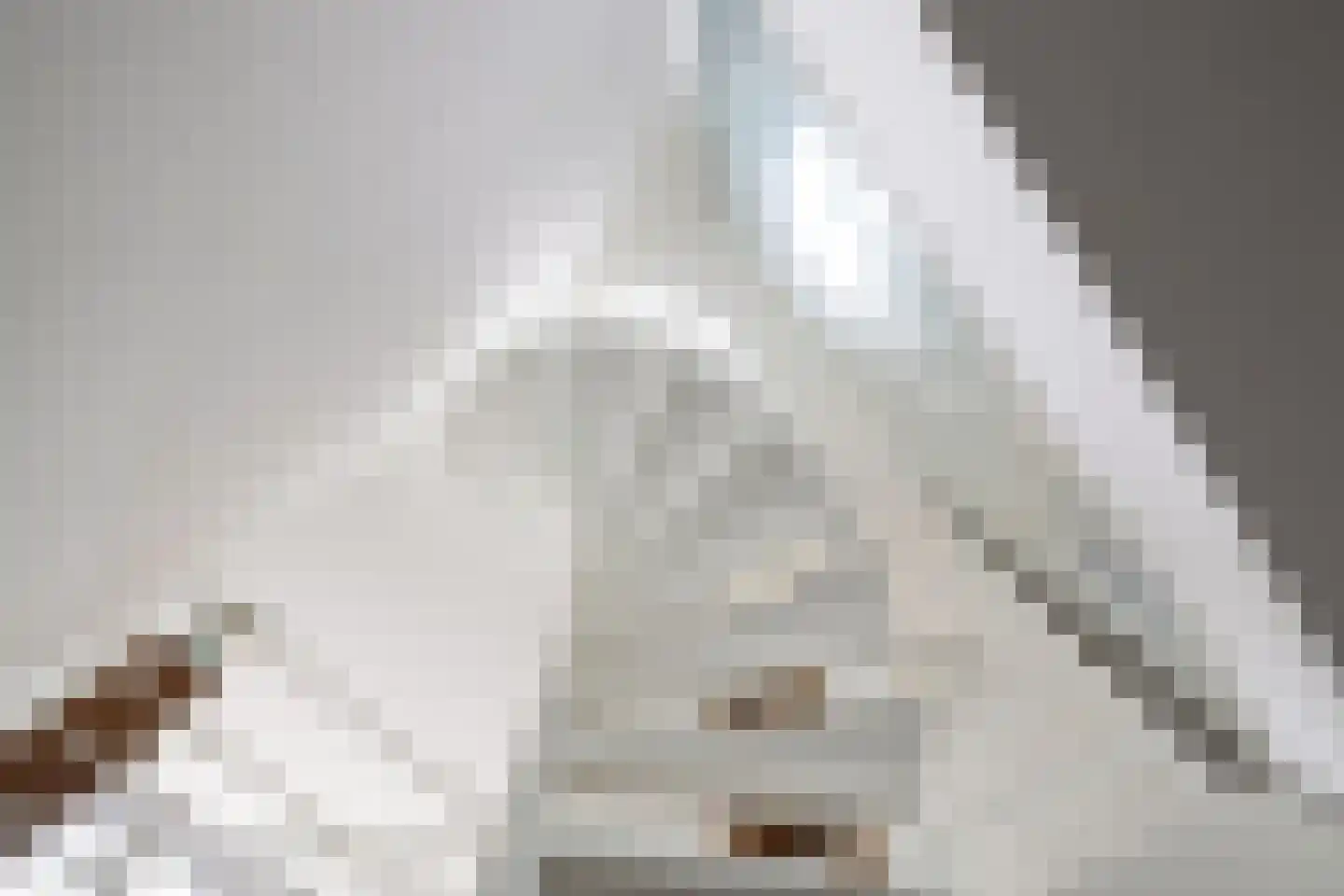 Ton van Duinhovenhof 3 Amsterdam thumbnail 12