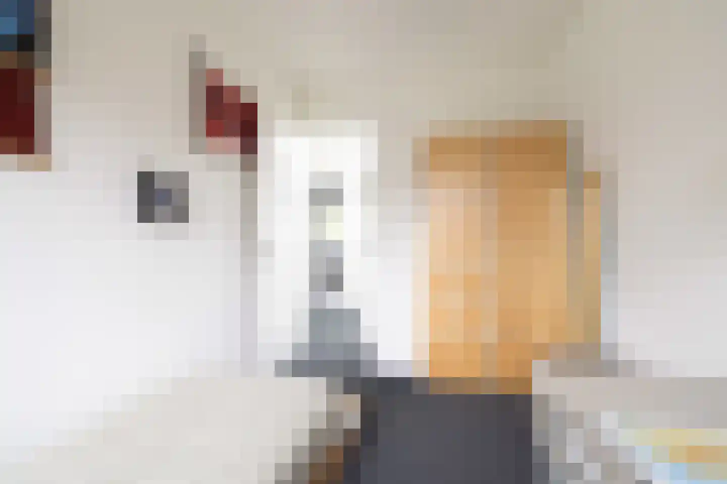 Ton van Duinhovenhof 3 Amsterdam thumbnail 26