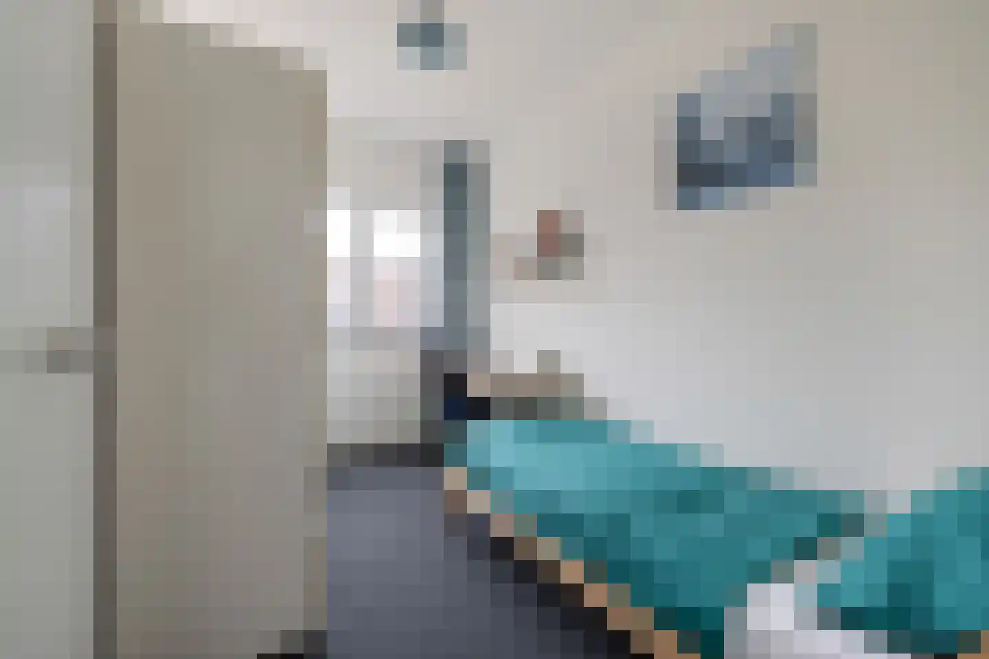Ton van Duinhovenhof 3 Amsterdam thumbnail 27