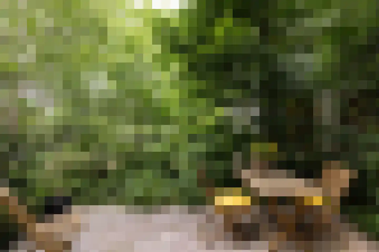Ton van Duinhovenhof 3 Amsterdam thumbnail 36