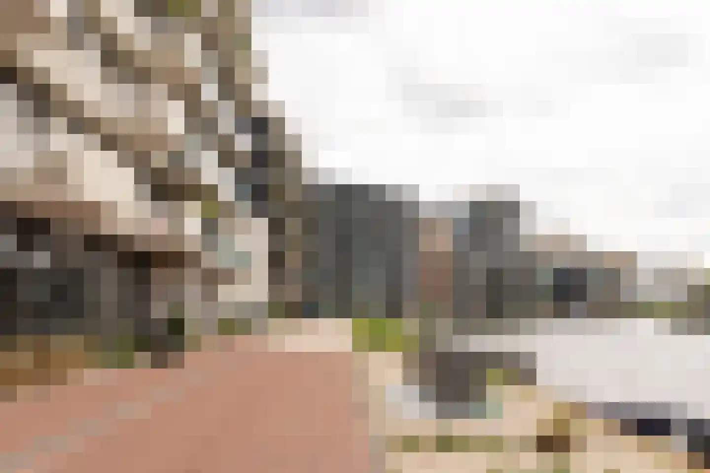 Ton van Duinhovenhof 3 Amsterdam thumbnail 40