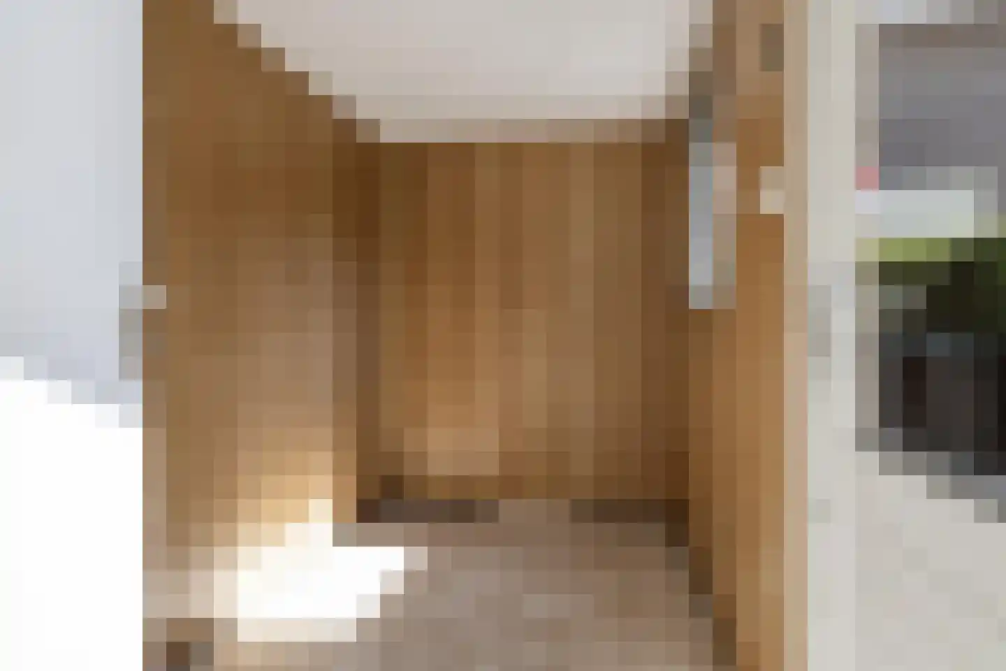 Tonckenspad 10 Pesse thumbnail 11