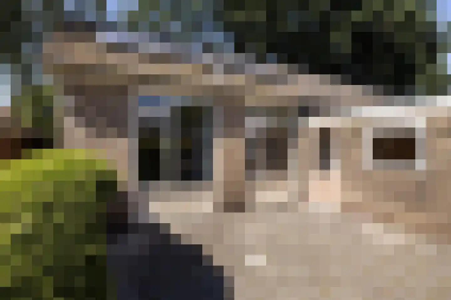 Tonckenspad 10 Pesse thumbnail 14