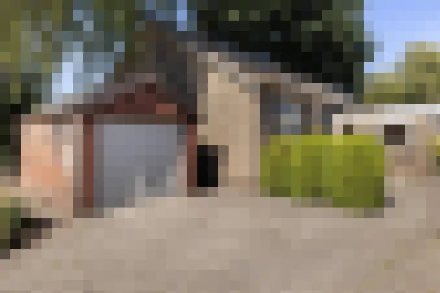 Tonckenspad 10 Pesse thumbnail 15