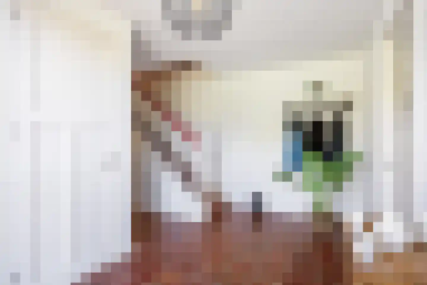 Tonckensweg 12 Haule thumbnail 20