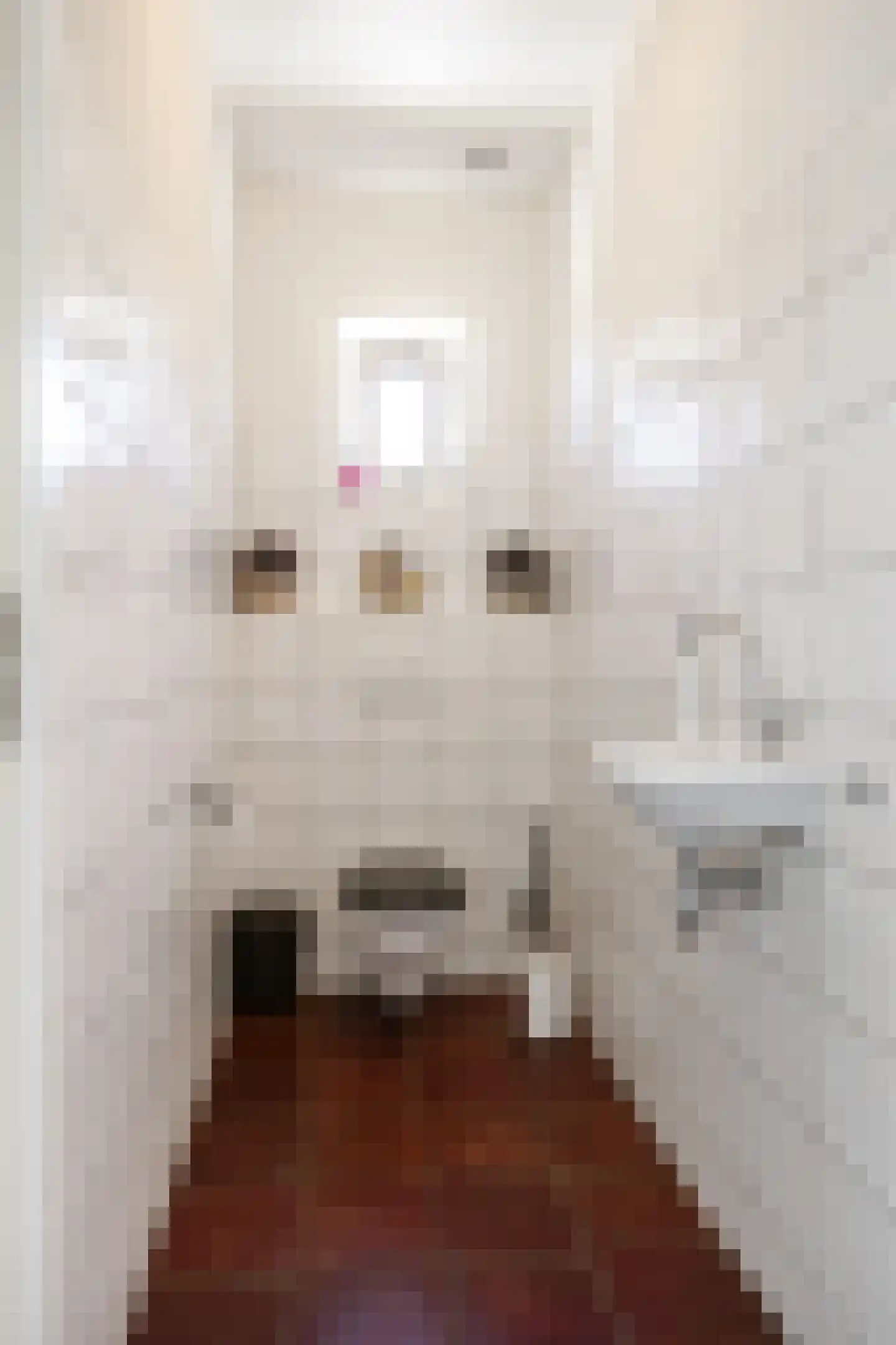 Tonckensweg 12 Haule thumbnail 23