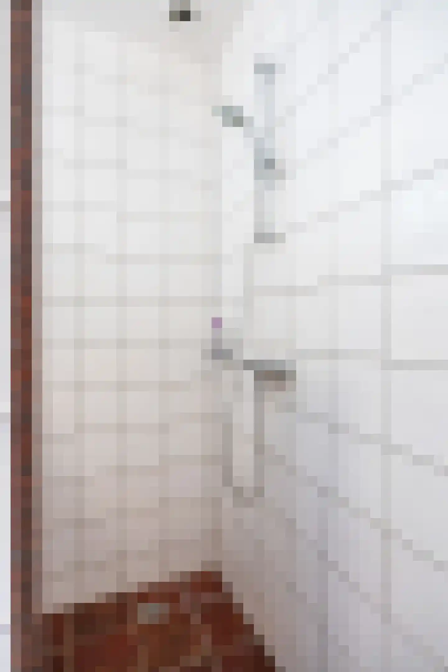 Tonckensweg 12 Haule thumbnail 26