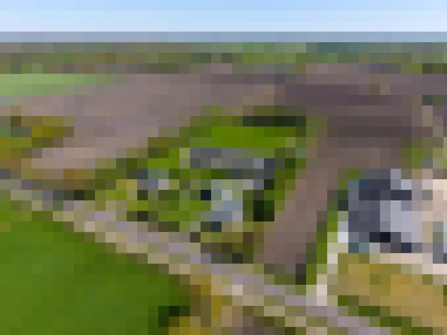 Tonckensweg 12 Haule thumbnail 7