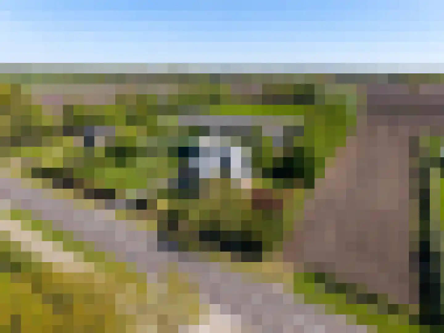 Tonckensweg 12 Haule thumbnail 8