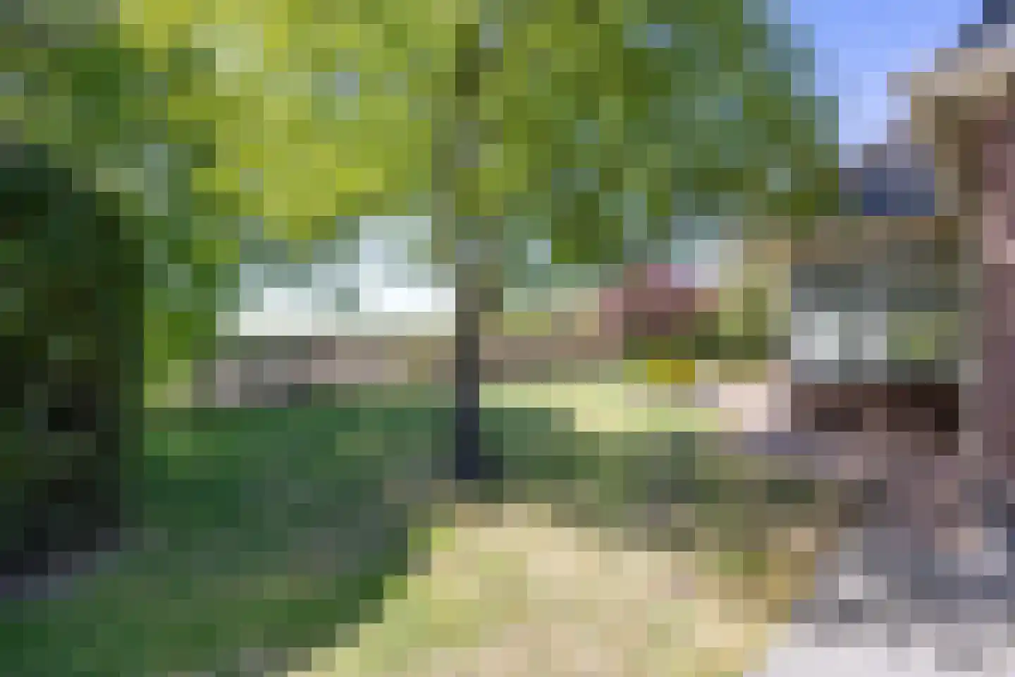 Tonckensweg 12 Haule thumbnail 84