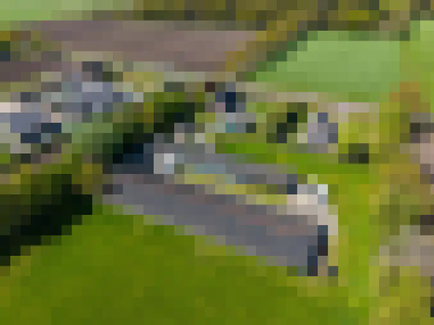 Tonckensweg 12 Haule thumbnail 89