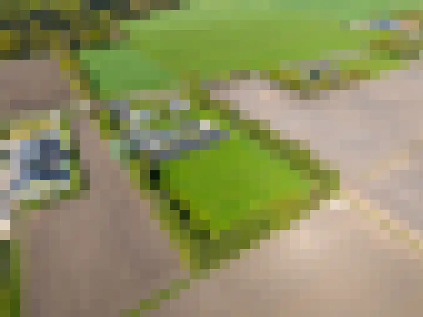 Tonckensweg 12 Haule thumbnail 90