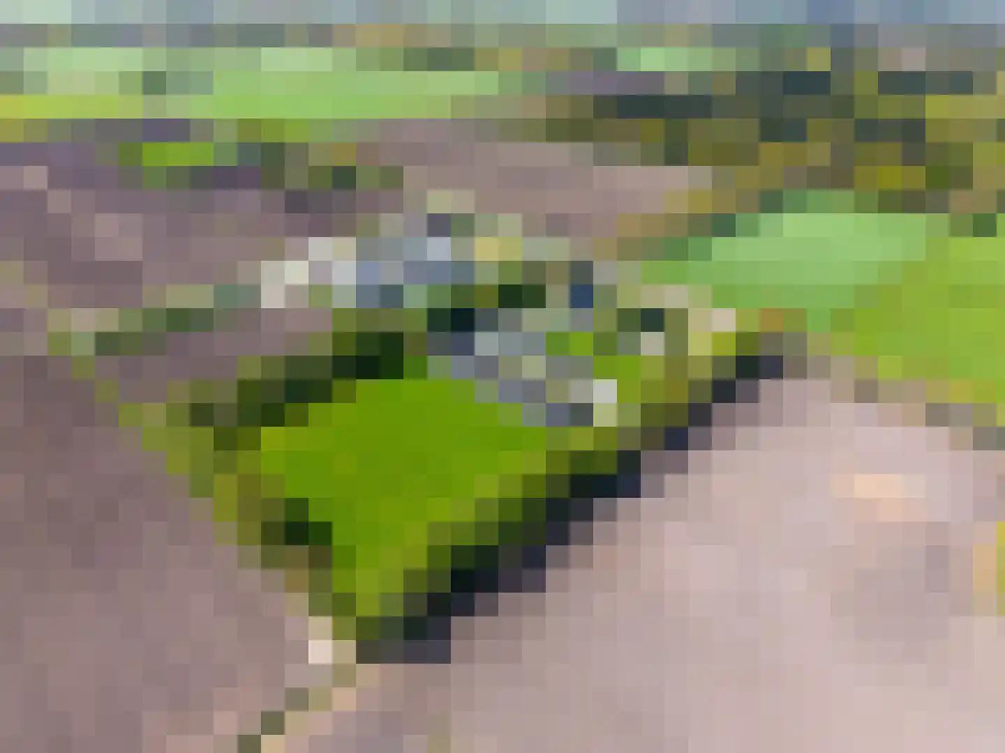 Tonckensweg 12 Haule thumbnail 91
