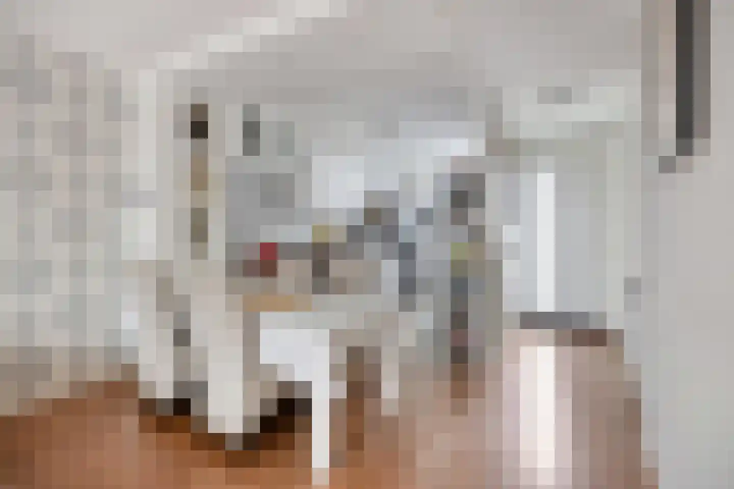Tondenpad 35 Amsterdam thumbnail 13