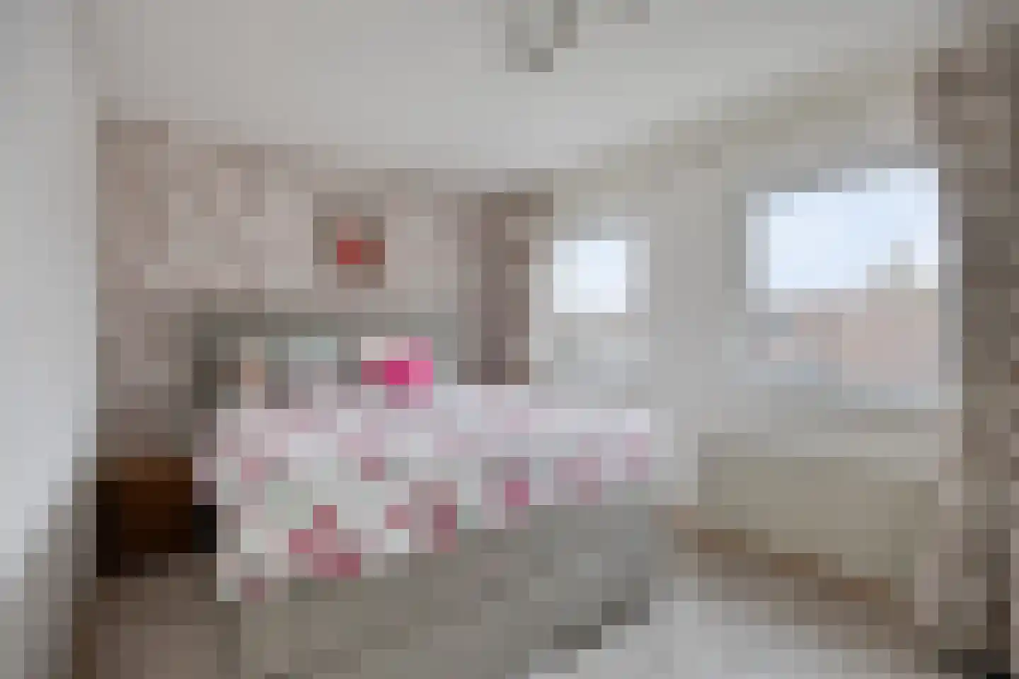 Tondenpad 35 Amsterdam thumbnail 18