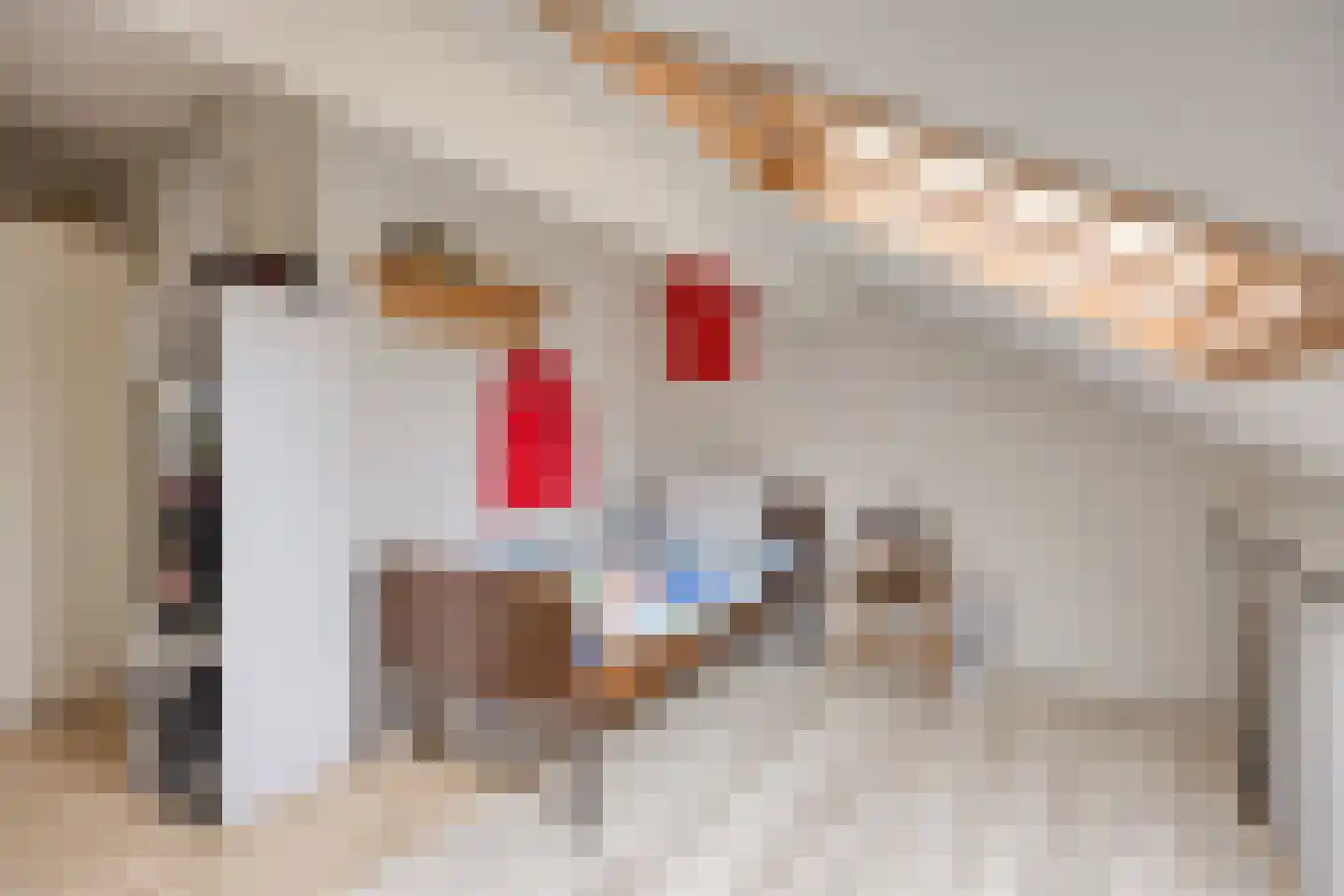 Tondenpad 35 Amsterdam thumbnail 29