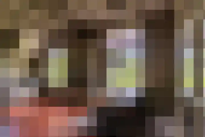 Tondensestraat 7 Tonden thumbnail 11