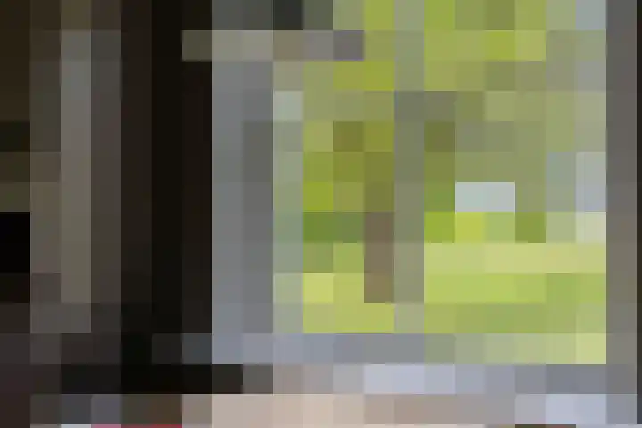 Tondensestraat 7 Tonden thumbnail 13