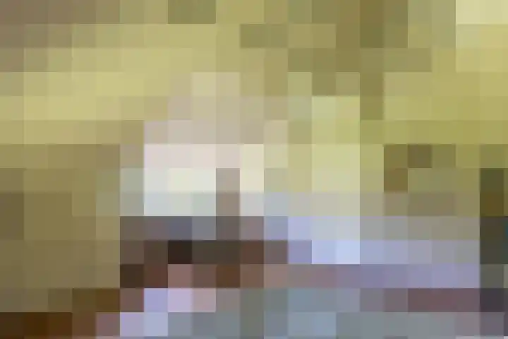 Tondensestraat 7 Tonden thumbnail 33
