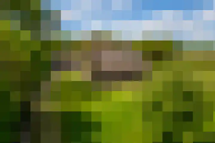 Tondensestraat 7 Tonden thumbnail 4