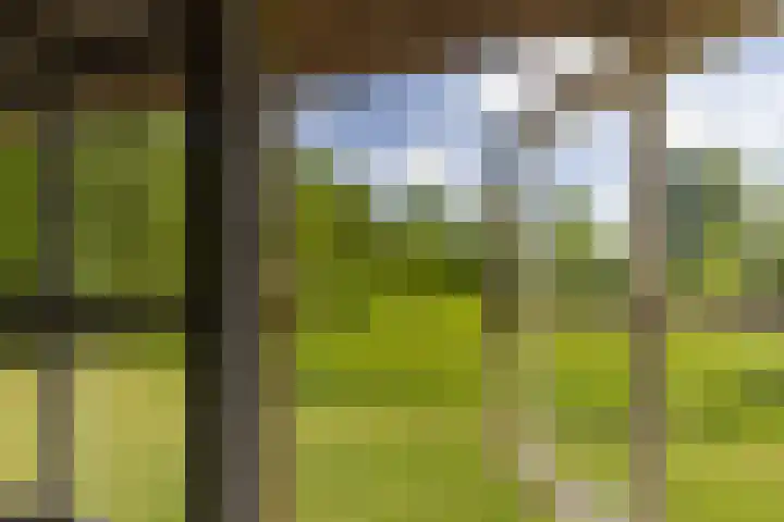 Tondensestraat 7 Tonden thumbnail 40