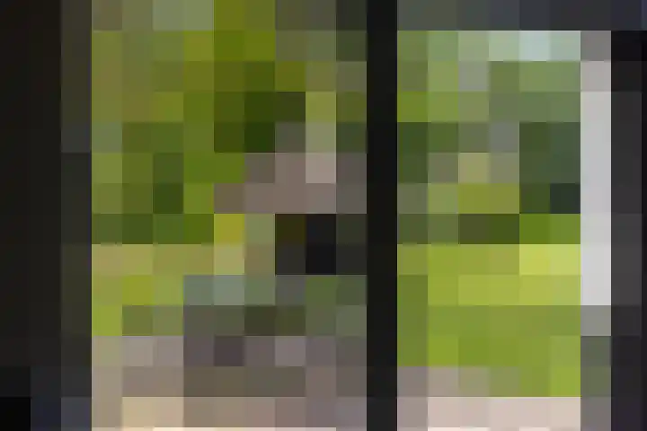 Tondensestraat 7 Tonden thumbnail 41