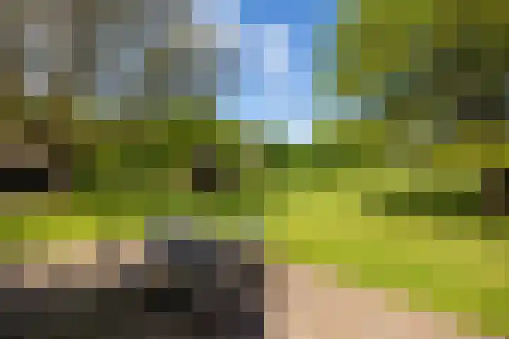 Tondensestraat 7 Tonden thumbnail 42