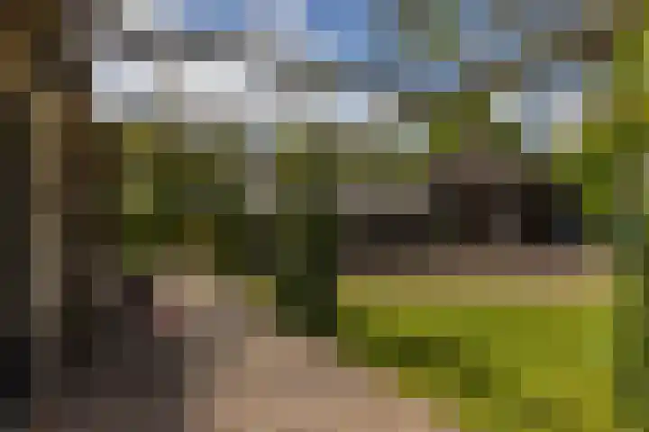 Tondensestraat 7 Tonden thumbnail 43