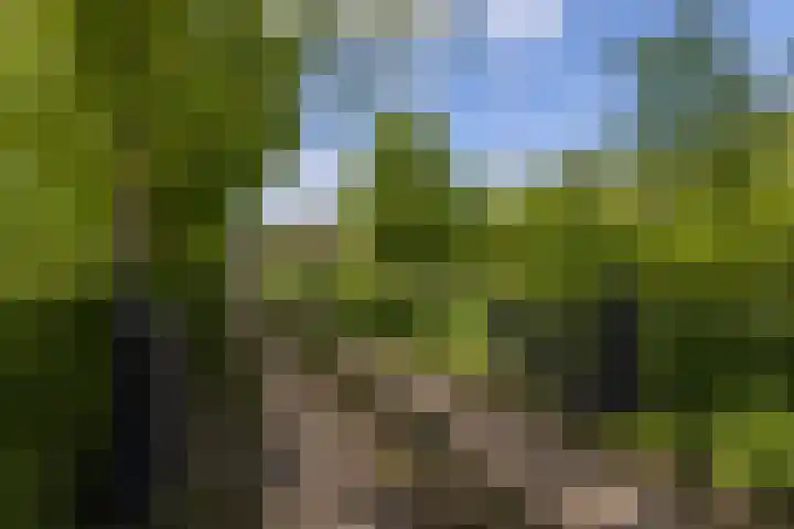 Tondensestraat 7 Tonden thumbnail 5