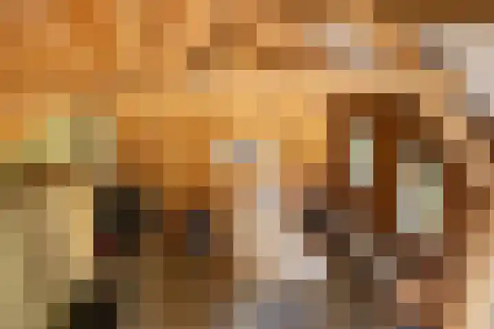 Tondensestraat 7 Tonden thumbnail 50