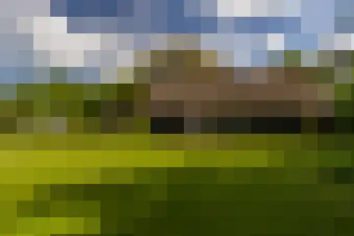 Tondensestraat 7 Tonden thumbnail 55