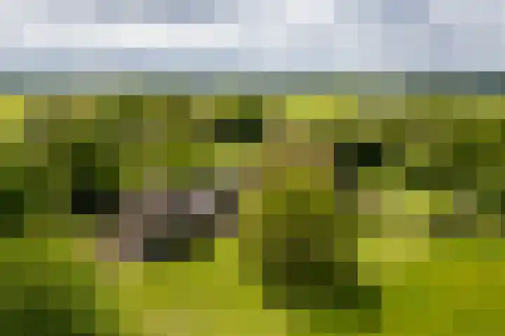 Tondensestraat 7 Tonden thumbnail 56