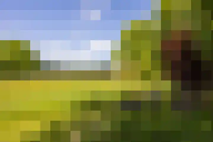 Tondensestraat 7 Tonden thumbnail 57