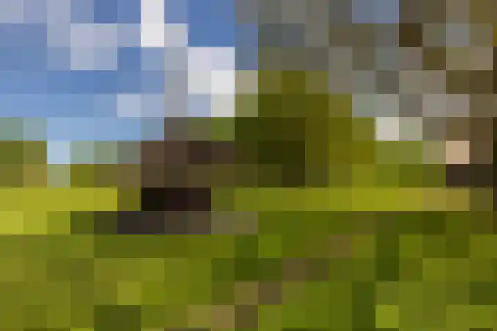 Tondensestraat 7 Tonden thumbnail 58