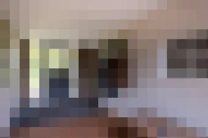 Tondensestraat 7 Tonden thumbnail 6