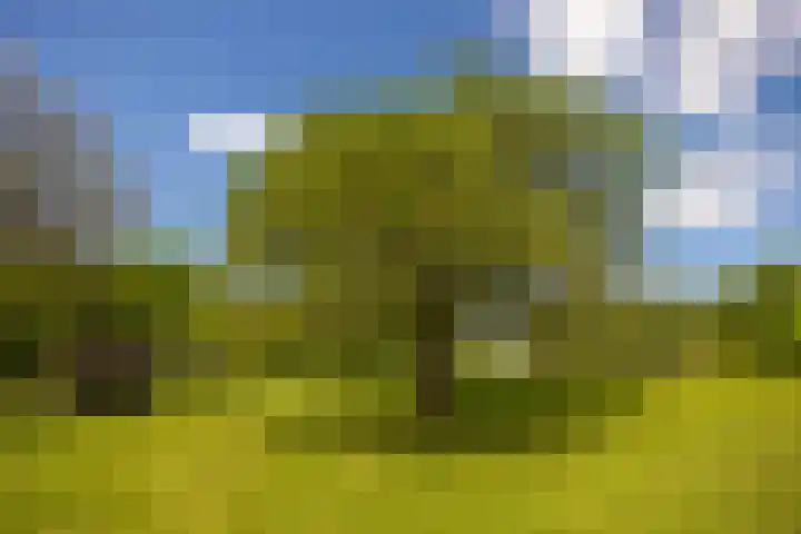 Tondensestraat 7 Tonden thumbnail 61