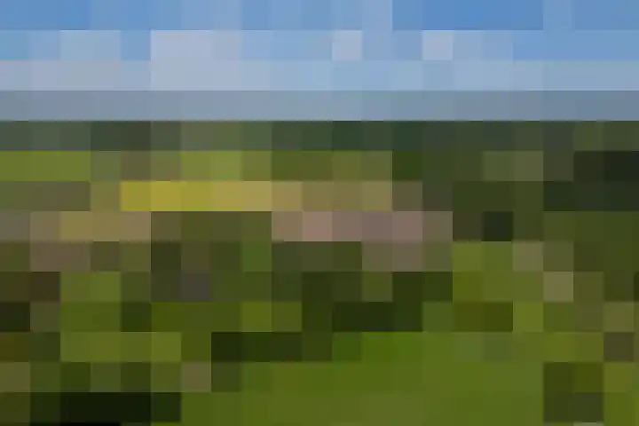 Tondensestraat 7 Tonden thumbnail 64