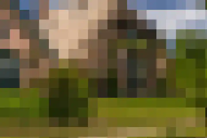 Tondensestraat 7 Tonden thumbnail 66
