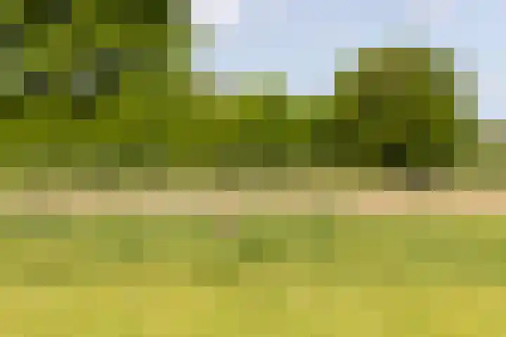Tondensestraat 7 Tonden thumbnail 71